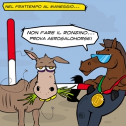 AEROSAL HORSE - 'Non fare il ronzino e usa l'aerosal!'